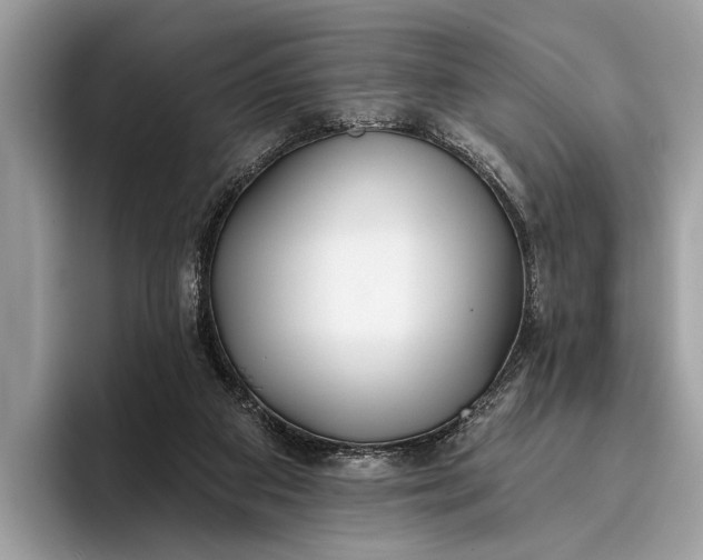 X0000095920113200801251038