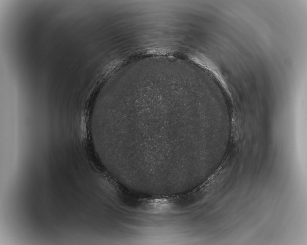 X0000095920114200801251038