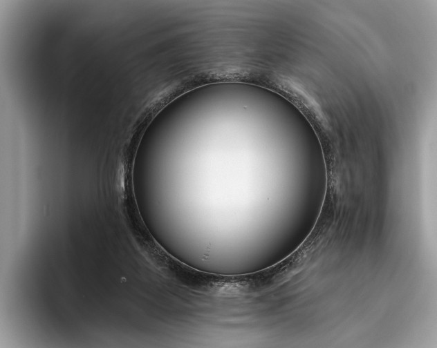 X0000095920115200801251037