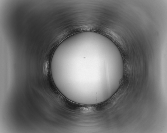 X0000095920118200801251037