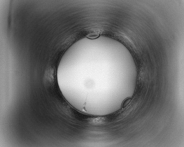 X0000095920122200801251037