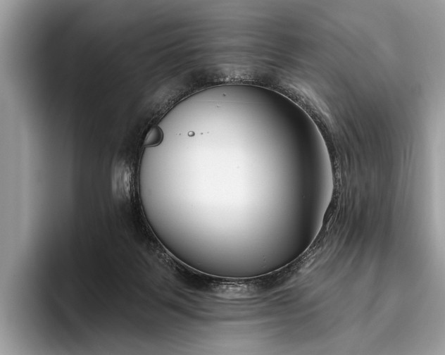 X0000095920123200801251037