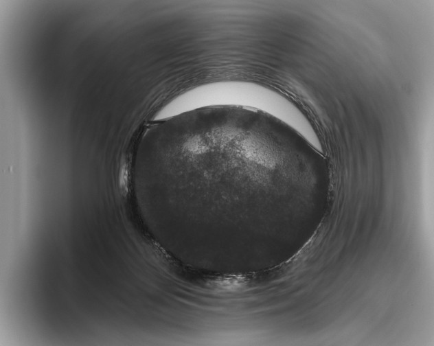 X0000095920124200801251037