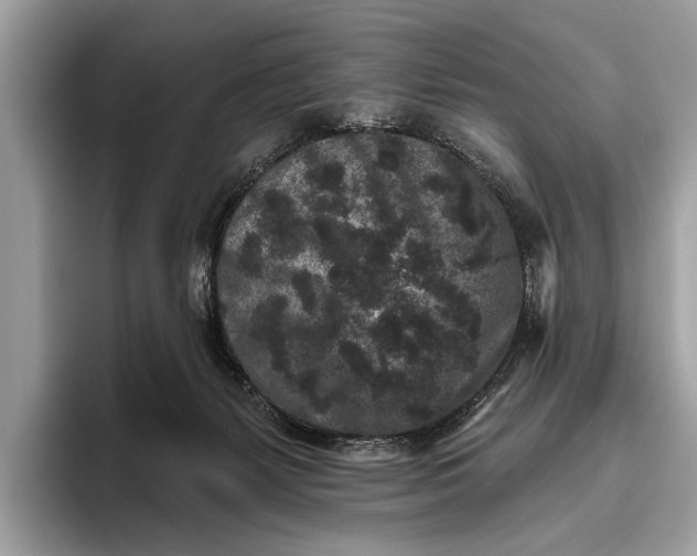 X0000095920127200801251037