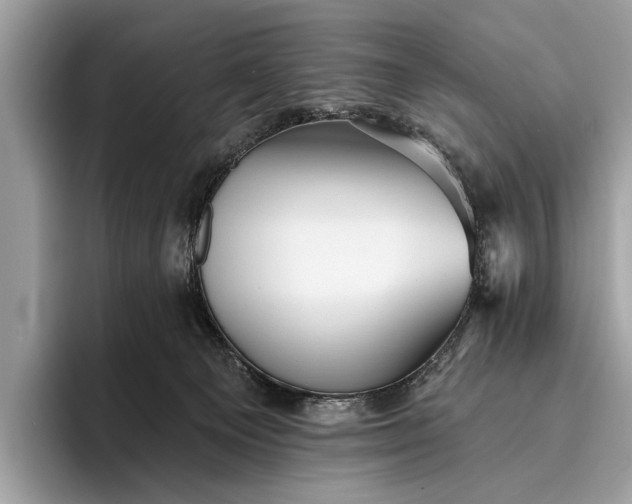 X0000095920129200801251037