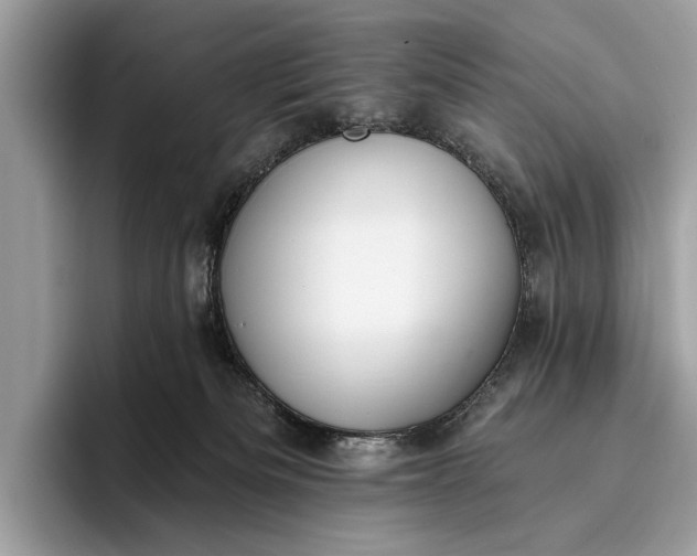 X0000095920133200801251037