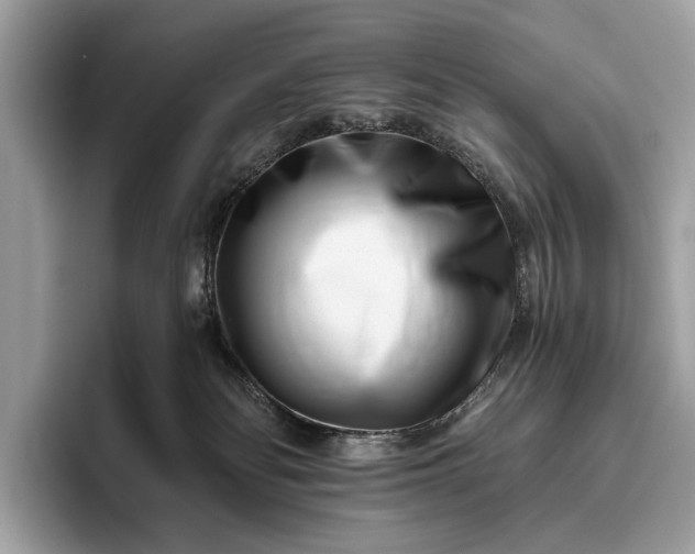 X0000095920134200801251037