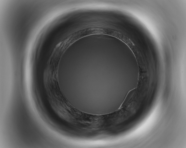 X0000095920143200801251037