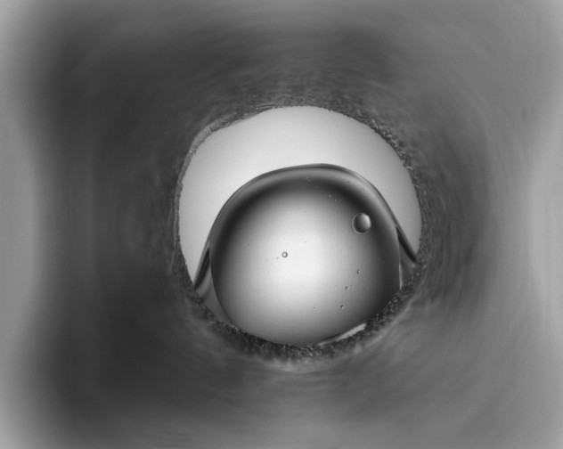 X0000095920144200801251037