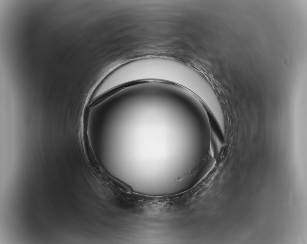 X0000095920148200801251037