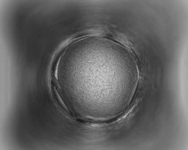 X0000095920149200801251037