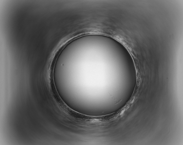 X0000095920151200801251037