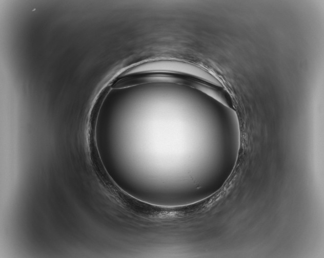 X0000095920152200801251037