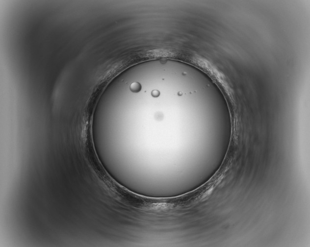 X0000095920153200801251037