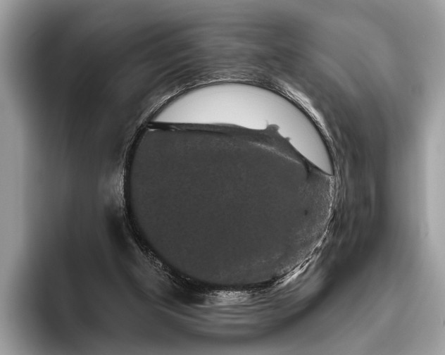 X0000095920154200801251037