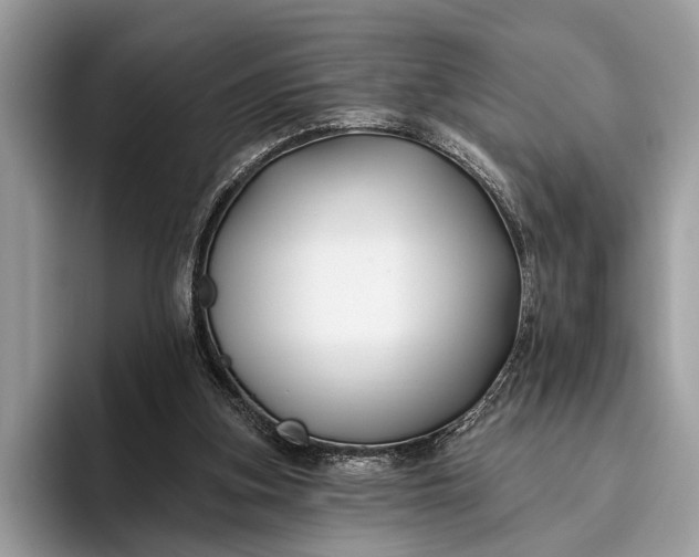 X0000095920155200801251037