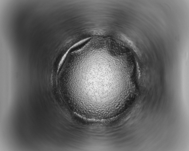 X0000095920161200801251037