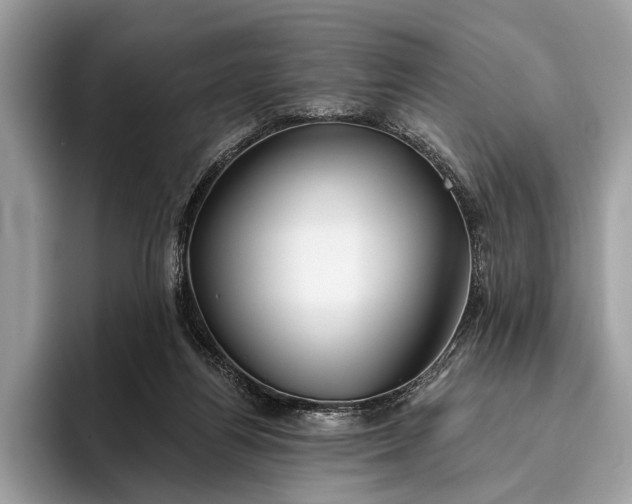 X0000095920164200801251037