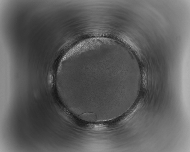 X0000095920165200801251037