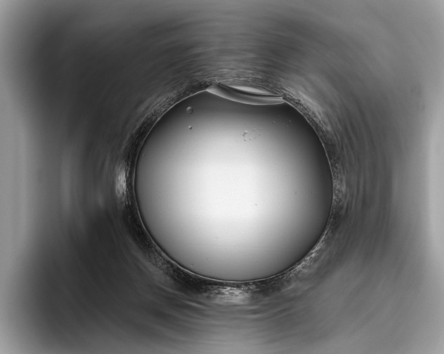 X0000095920166200801251037