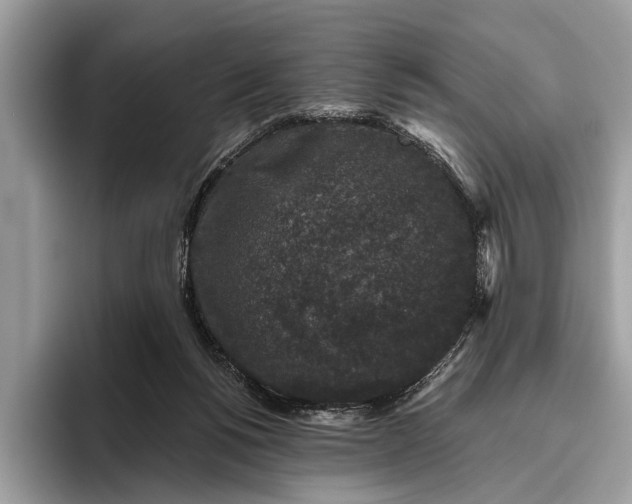 X0000095920168200801251037