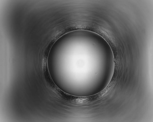 X0000095920172200801251037