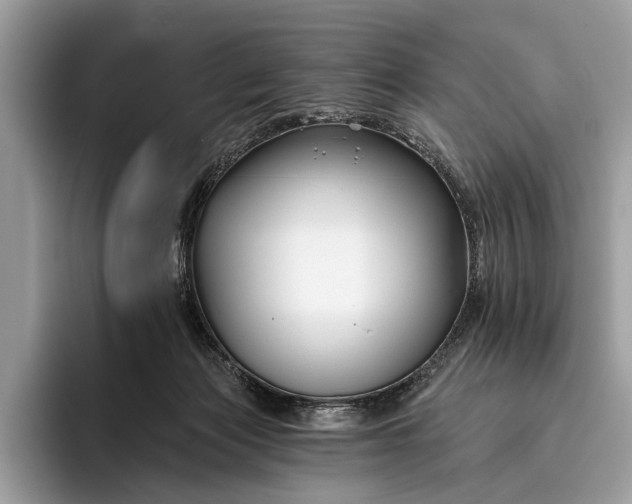 X0000095920173200801251037