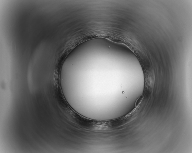 X0000095920175200801251037