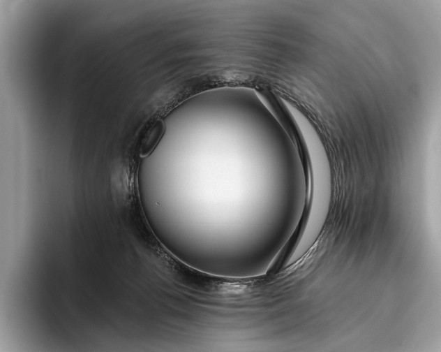 X0000095920176200801251037