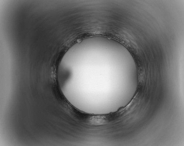 X0000095920179200801251037