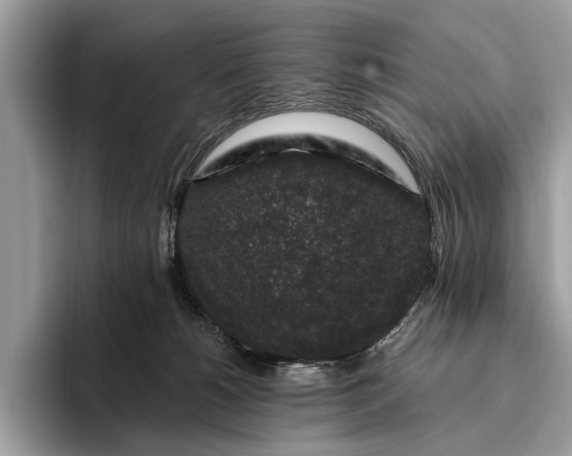 X0000095920180200801251037