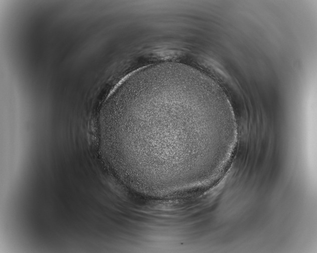 X0000095920182200801251037