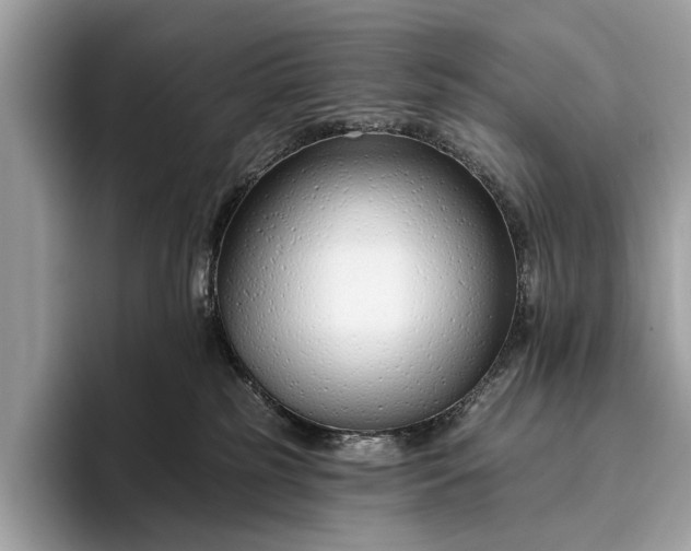 X0000095920185200801251037