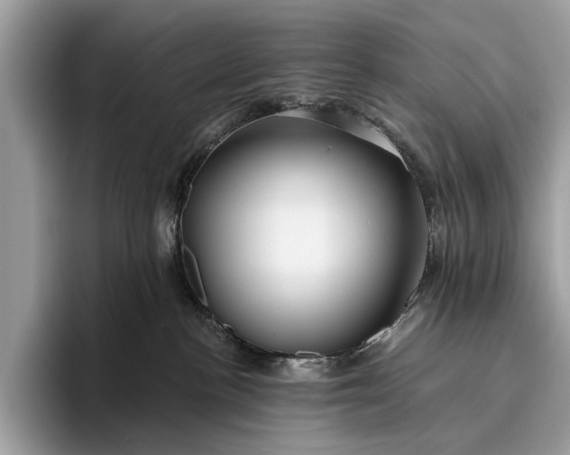 X0000095920188200801251037