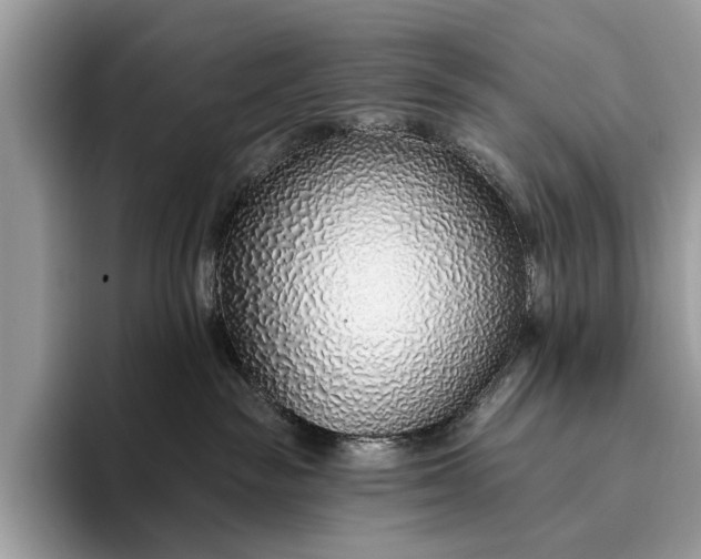 X0000095920189200801251037