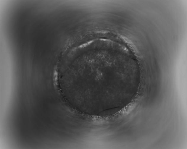 X0000095920192200801251037