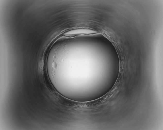 X0000095920194200801251036