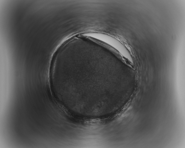 X0000095920196200801251036