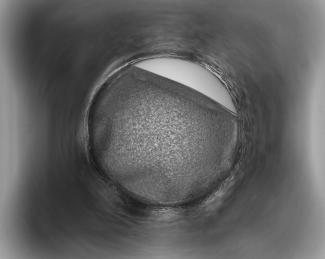 X0000095920198200801251036