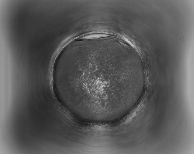 X0000095920199200801251036