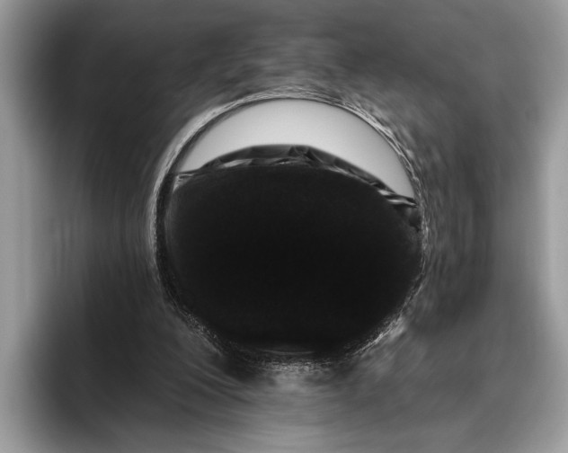 X0000095920200200801251036