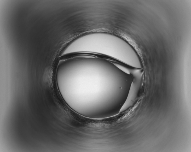 X0000095920201200801251036