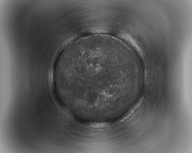 X0000095920202200801251036