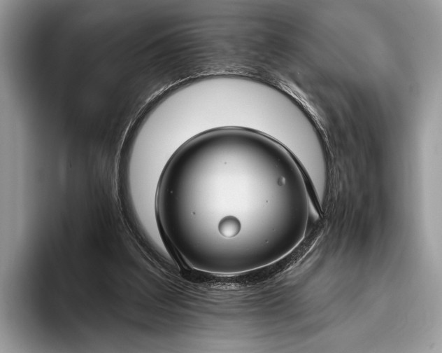 X0000095920203200801251036