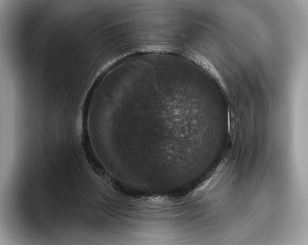 X0000095920204200801251036