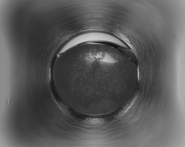 X0000095920205200801251036