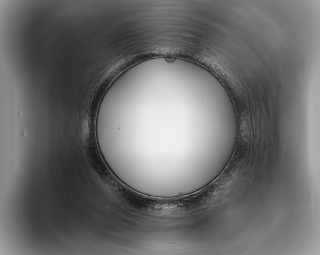 X0000095920208200801251036