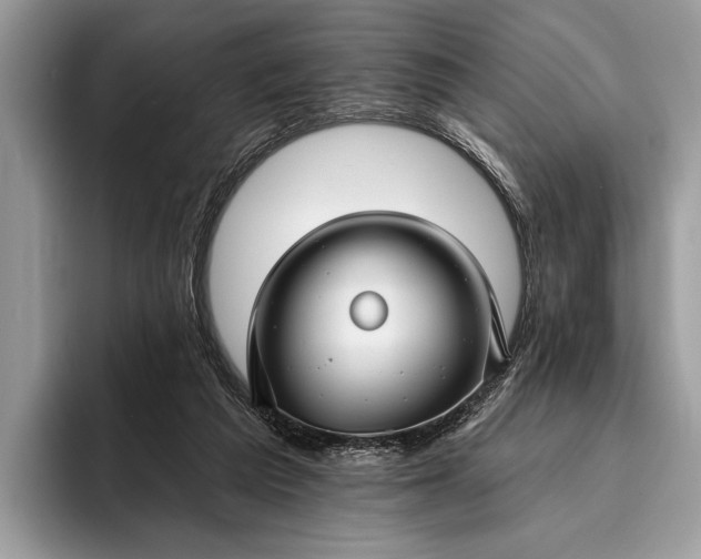 X0000095920209200801251036