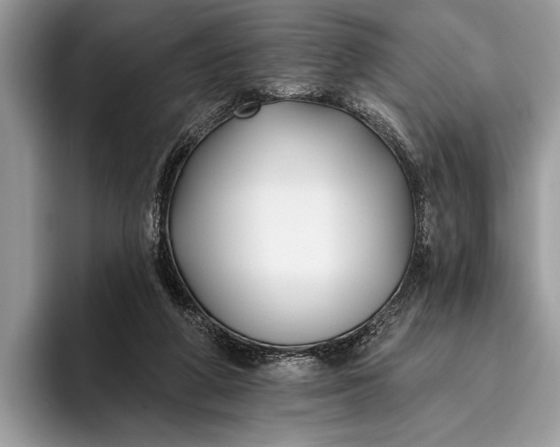 X0000095920210200801251036