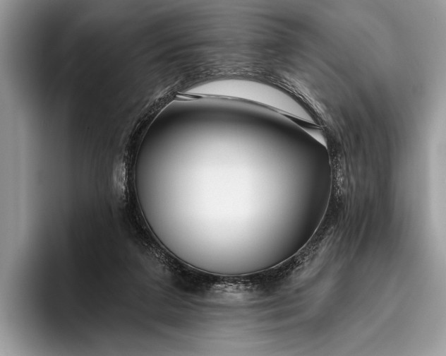 X0000095920211200801251036